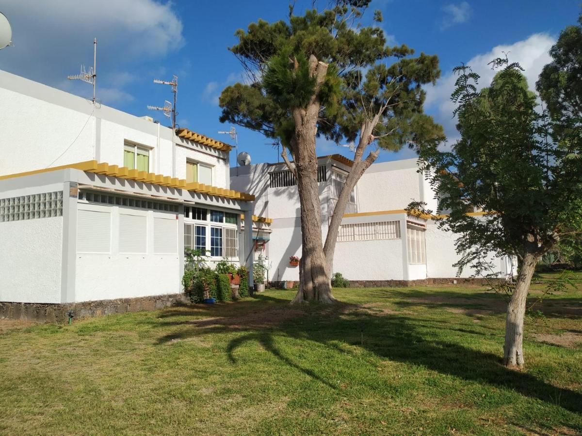 Helios Studio Drago Costa Del Silencio Exterior foto